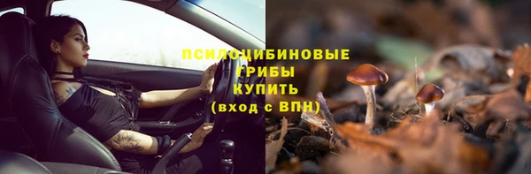 Альфа ПВП Абаза