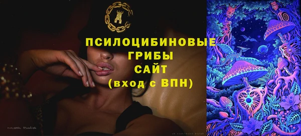 Альфа ПВП Абаза