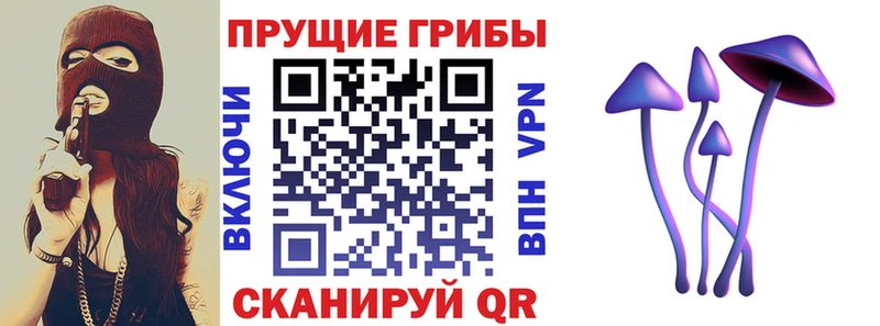 Галлюциногенные грибы Magic Shrooms  Азнакаево 